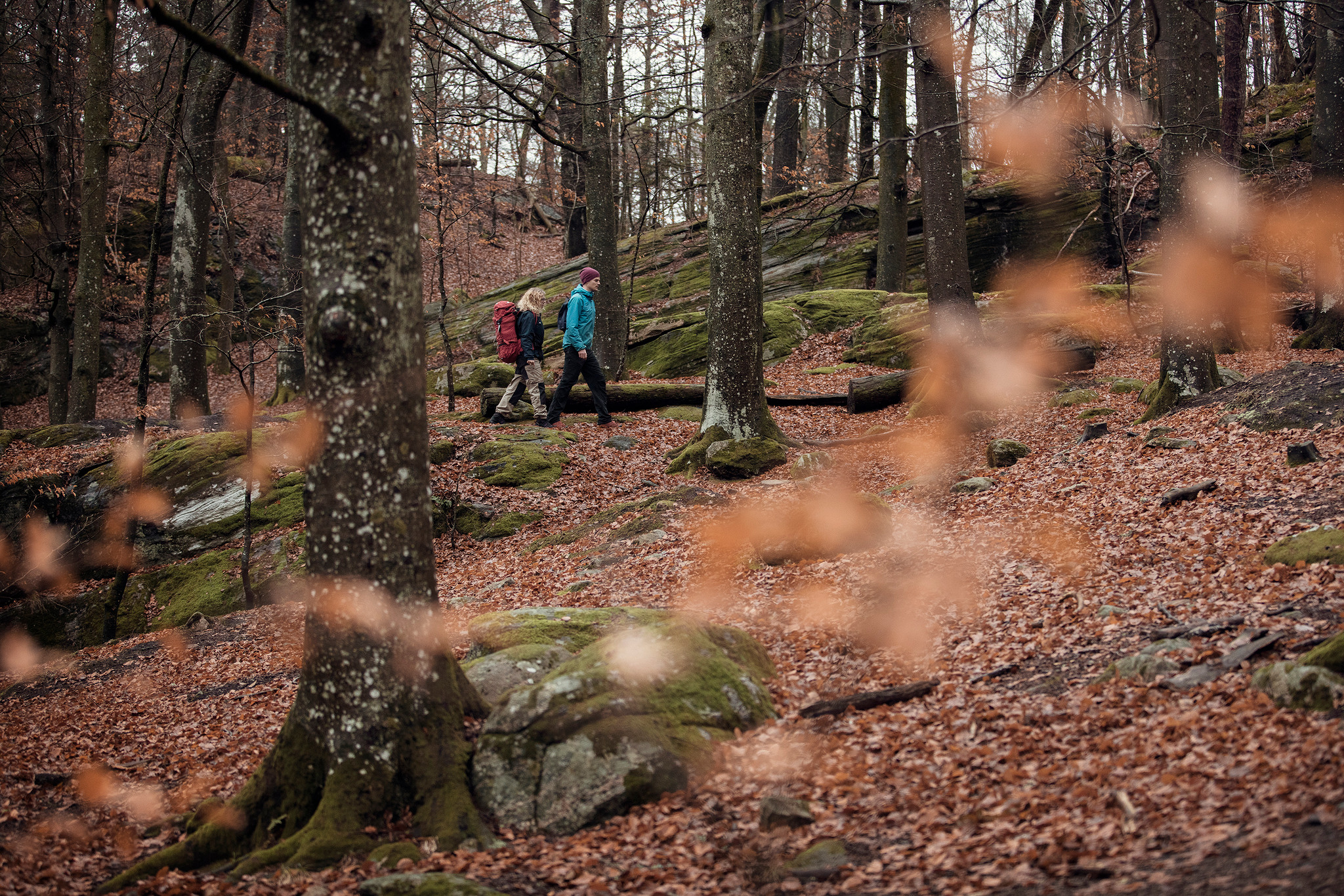 Två personer vandrar i en skog.
