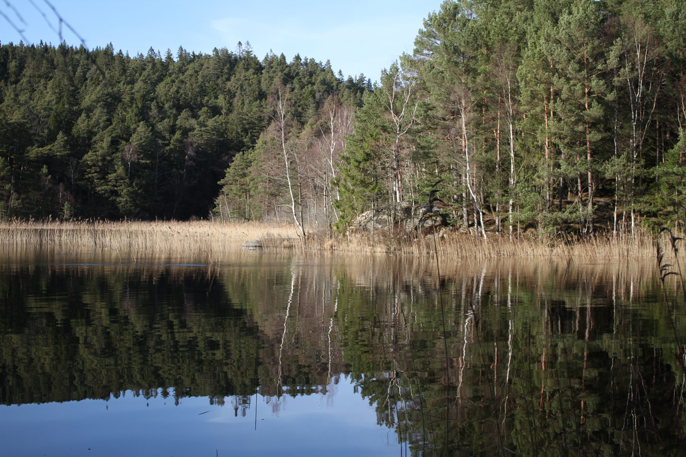 Bild på Kvarnsjön.