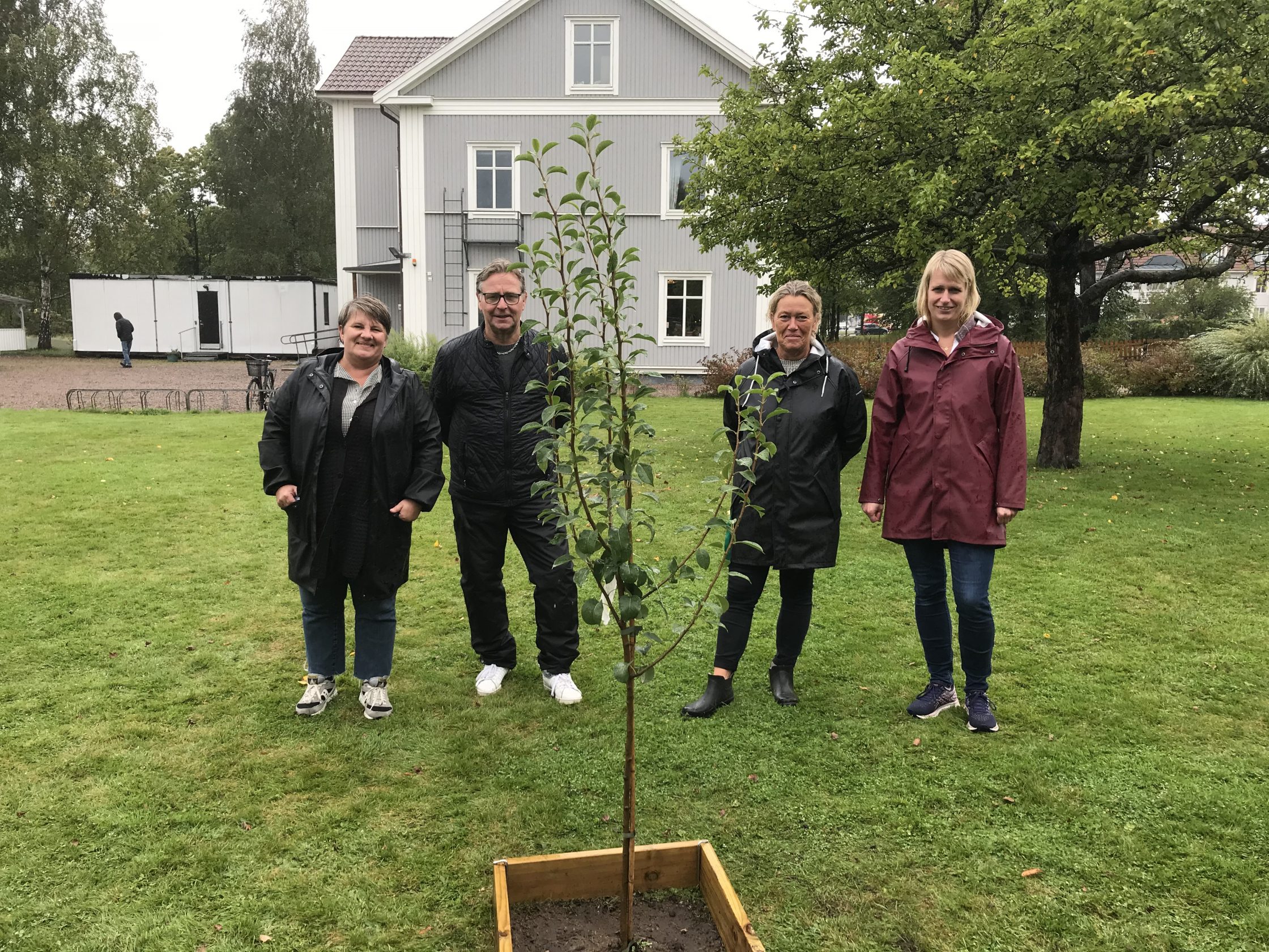 Fyra personer står vid ett planterat träd