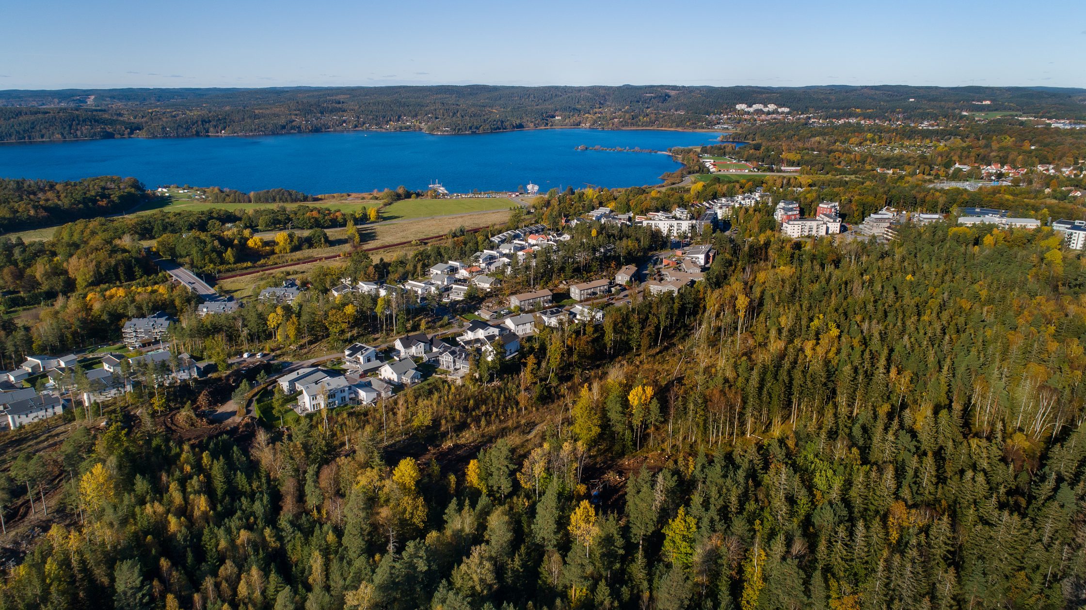 Vy över Stadsskogen.